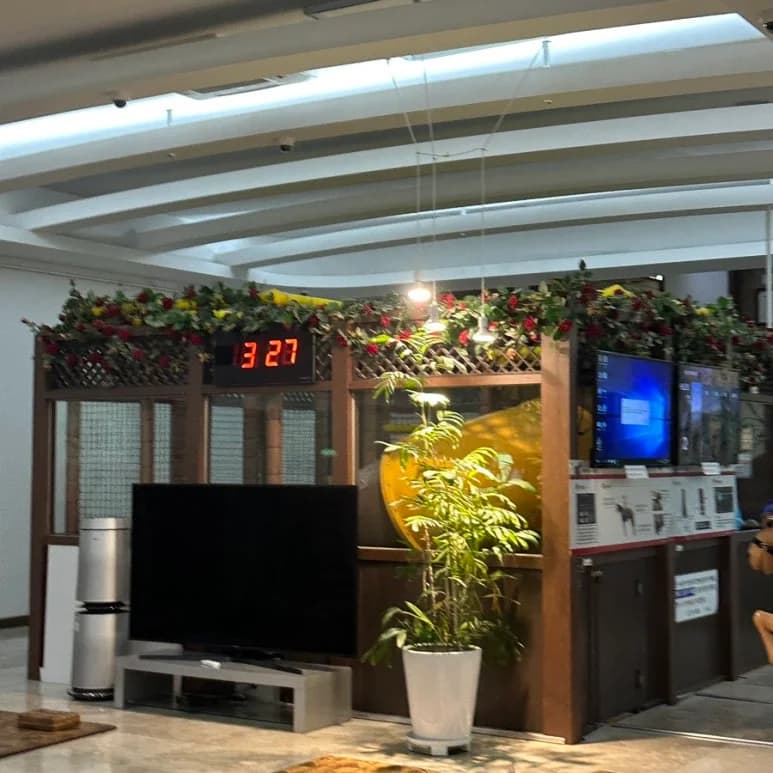 하이렉스파불한증막사우나 - 사진: Kakao Place